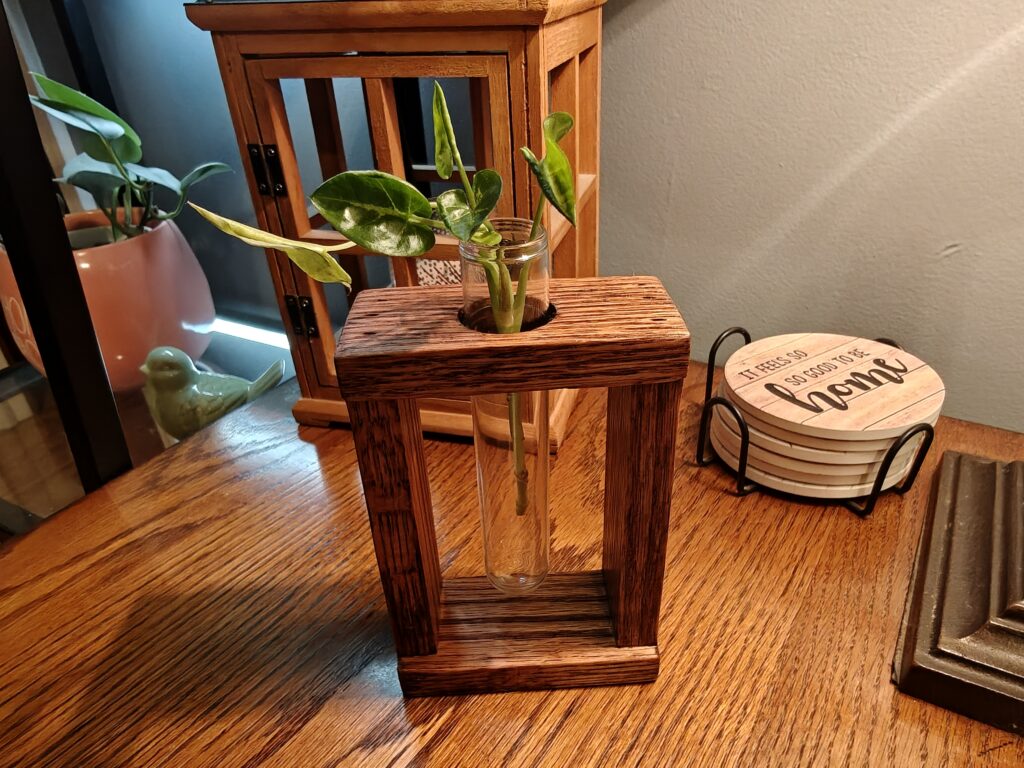 Test tube propagation station