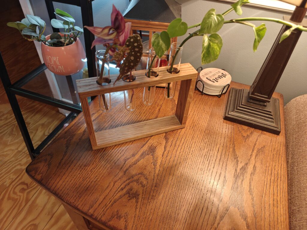 Test tube propagation station